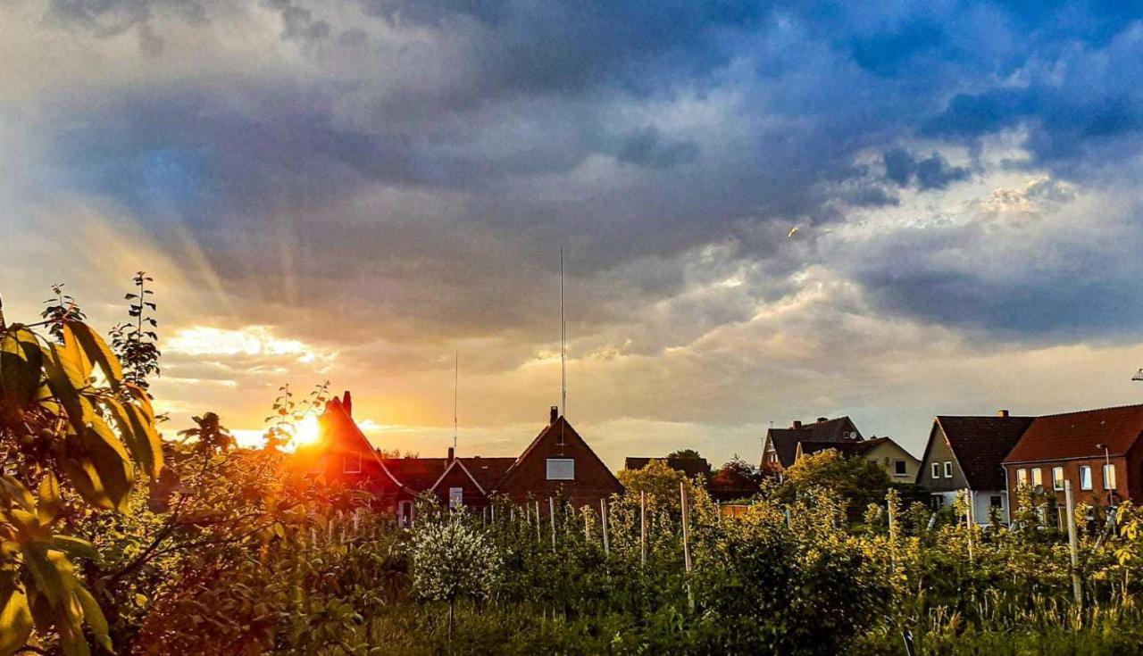Ferienwohnung Bluetenblick Bachenbrock Exteriör bild